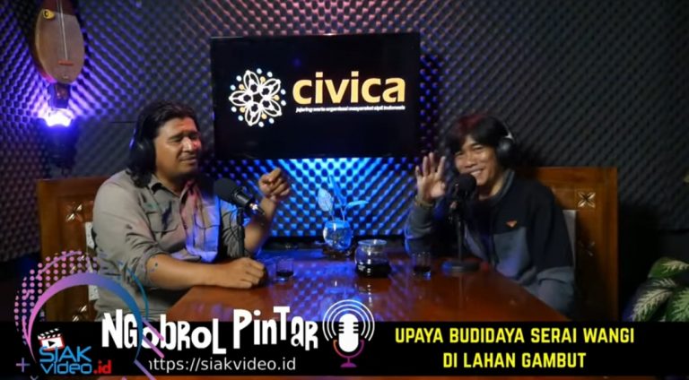 UPAYA BUDIDAYA SERAI WANGI DI LAHAN GAMBUT