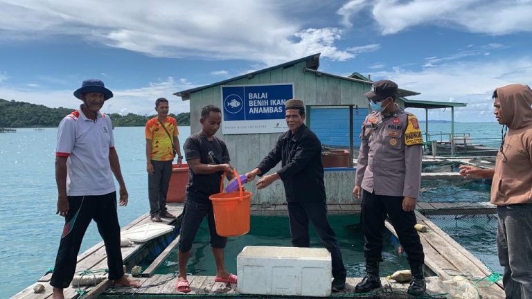 BBI Anambas Bangkit, Kembali Aktif dan Bantu Perekonomian Masyarakat